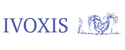 Ivoxis - kurzy tvorby www